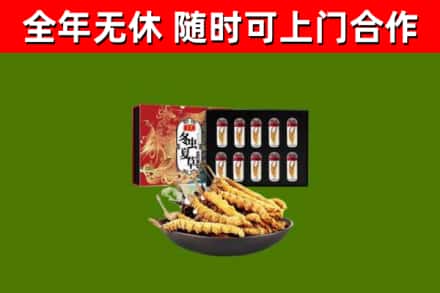 诏安烟酒回收冬虫夏草礼盒.jpg